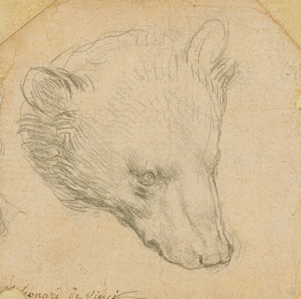 Rysunek Leonarda da Vinci wylicytowany w Christie's za 12,1 mln funtów