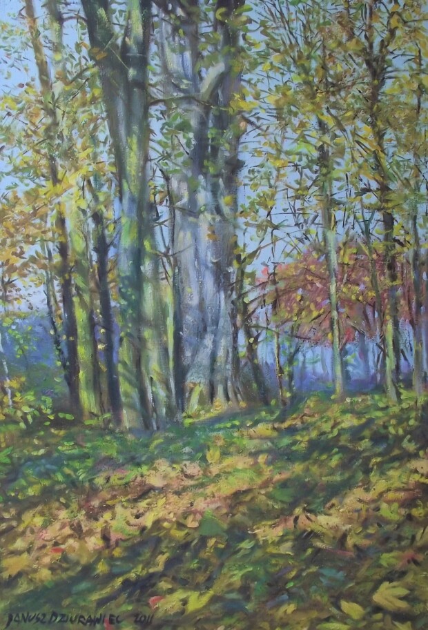 Obraz przedstawiający las bukowy w słoneczny dzień. Obraz namalowany przez Janusza Dziurawca farbami olejnymi na płótnie.