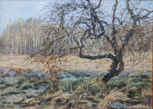 Obraz Janusza Dziurawca przedstawiający drzewo w sadzie.