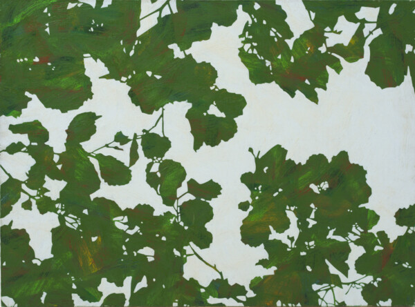 Obraz olejny przedstawiający zielone wrześniowe liście na tle nieba. Autor obrazu Robert Motelski.