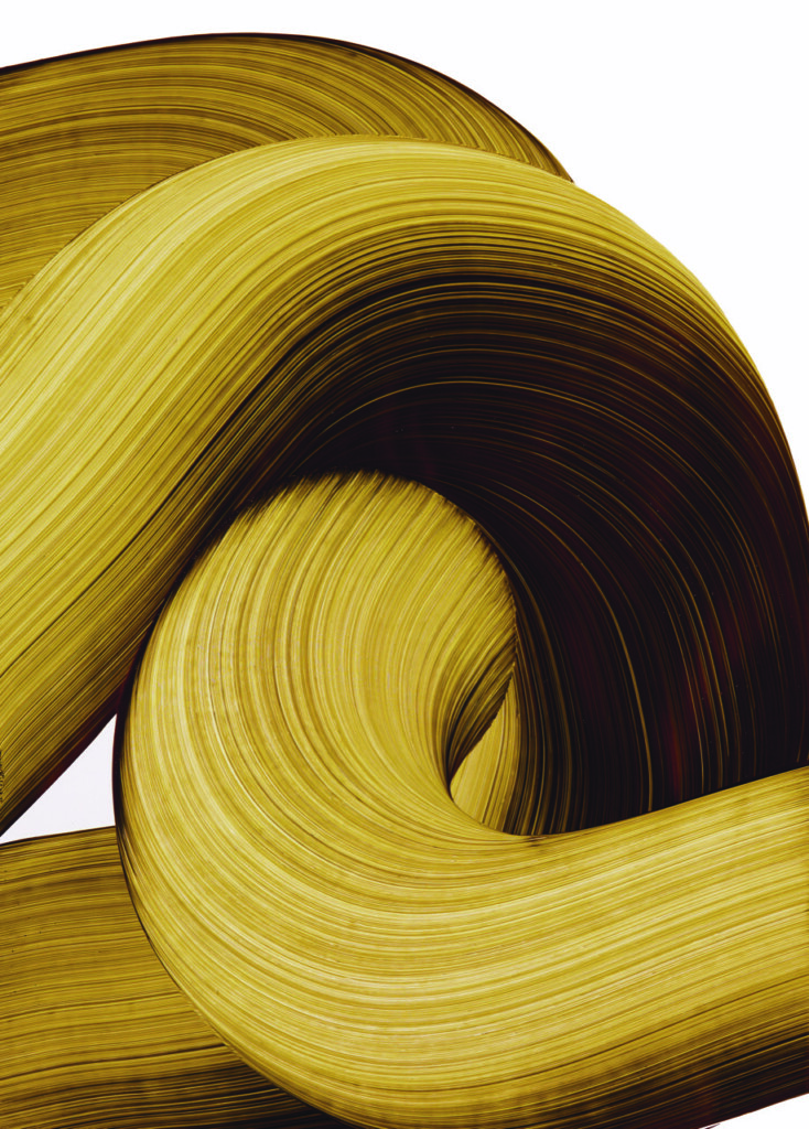 Organiczne formy na obrazie Nikodema Szpunara