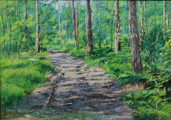 droga w lesie, soczysta zieleń runa