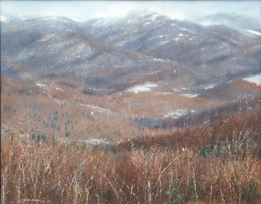 pejzaż górski, widok na łąkę, góry, u ich podnóża kotlina