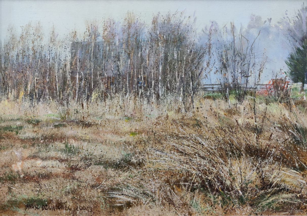 łąka, w tle brzozy, za nimi kontury budynku i ogrodzenie, pejzaż jesienny