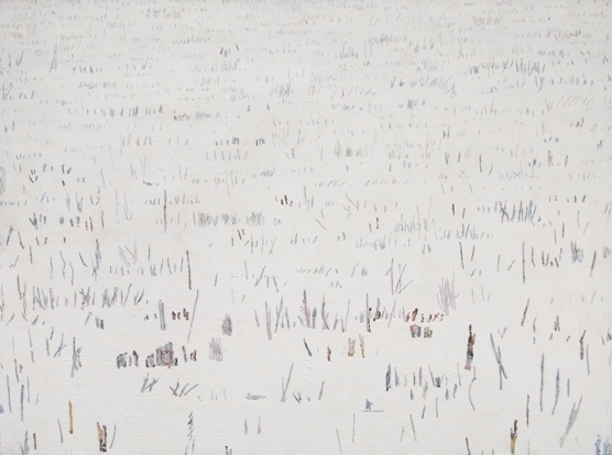 trawy przykryte śniegiem