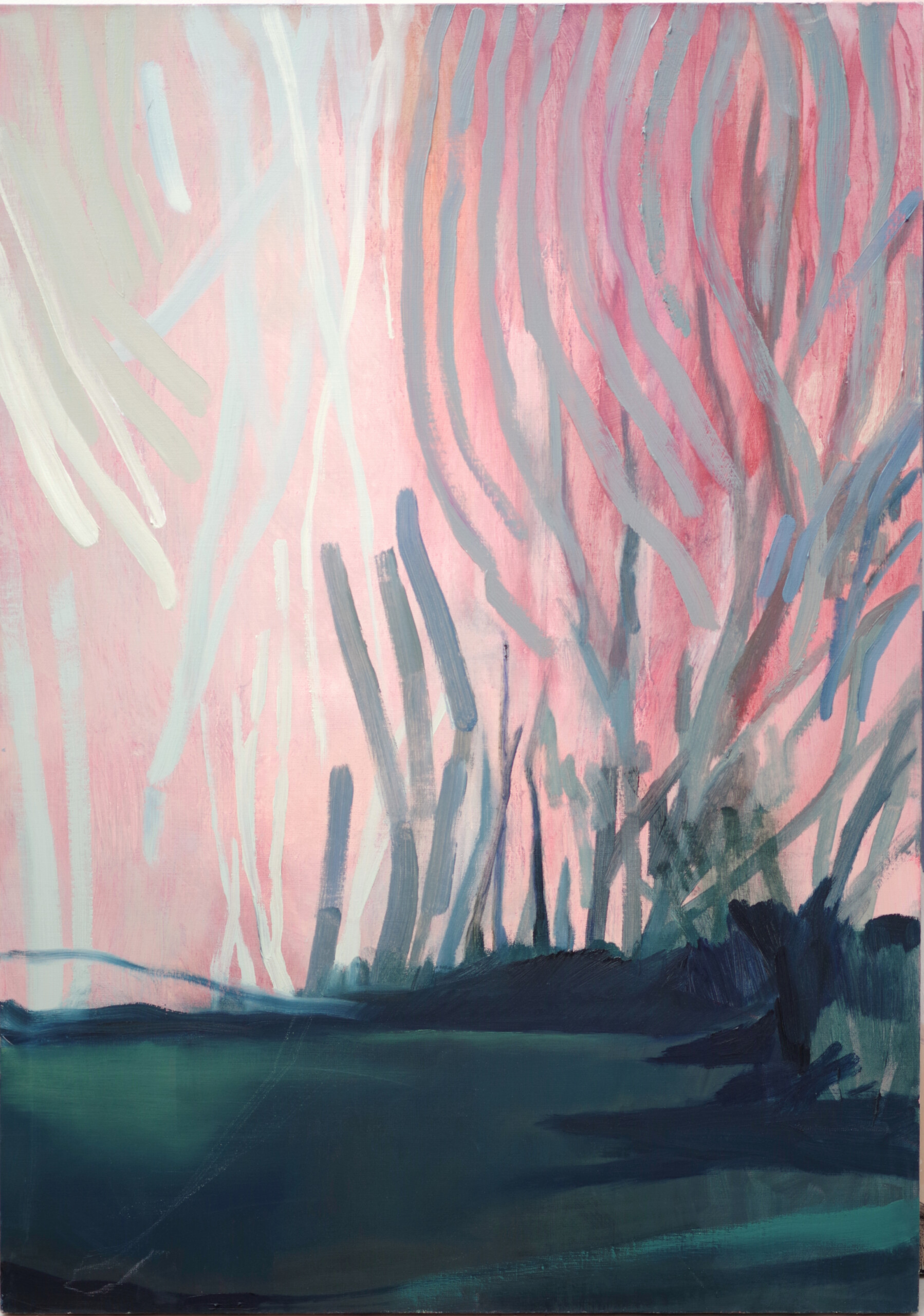 pejzaż, falujące rośliny w świetle różowego zachodu słońca