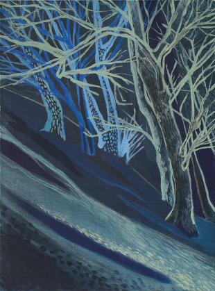 drzewa chylące się pod wpływem wiatru