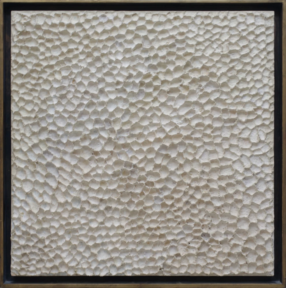 Agnieszka Warda reliefowy obraz abstrakcyjny – jasna struktura organiczna, minimalistyczna kompozycja fakturalna.