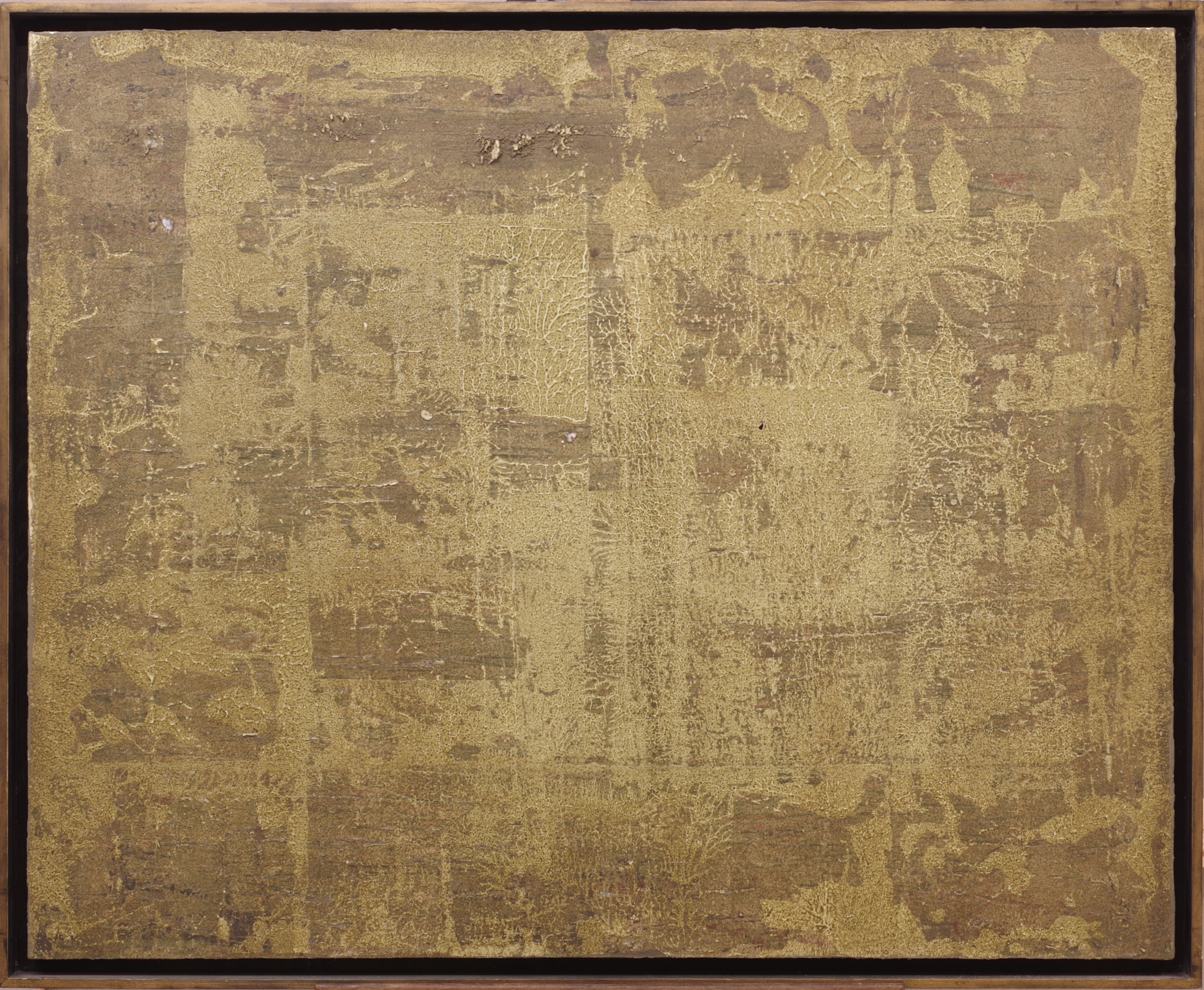 abstrakcja, kolory ziemi piasku