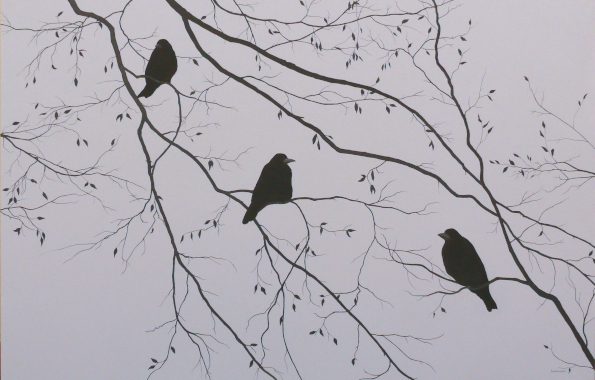 ptaki siedzące na gałęziach, kolorystyka biało-czarna