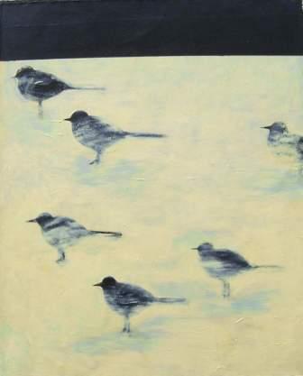 ptaki na piasku, zwierzęta, czerń, biel, realistyczne, wiatr