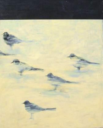 ptaki na piasku, zwierzęta, czerń, biel, realistyczne, wiatr