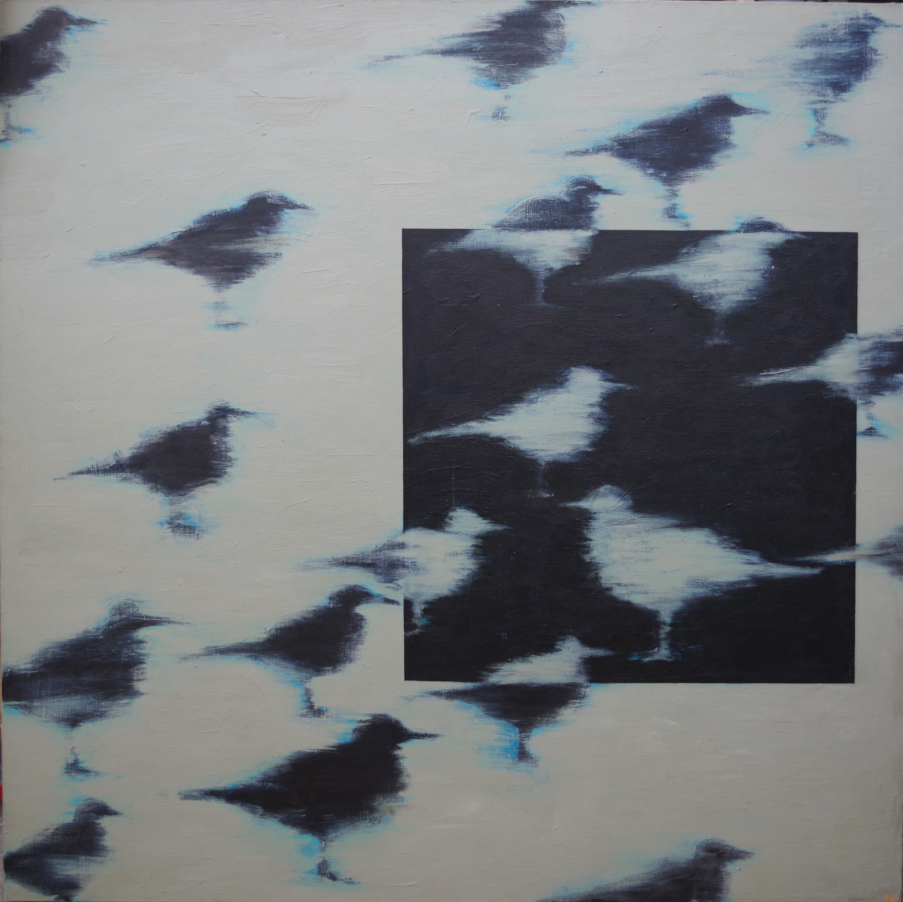 Ptaki stojące na jasnym i czarnym tle, zwierzęta,