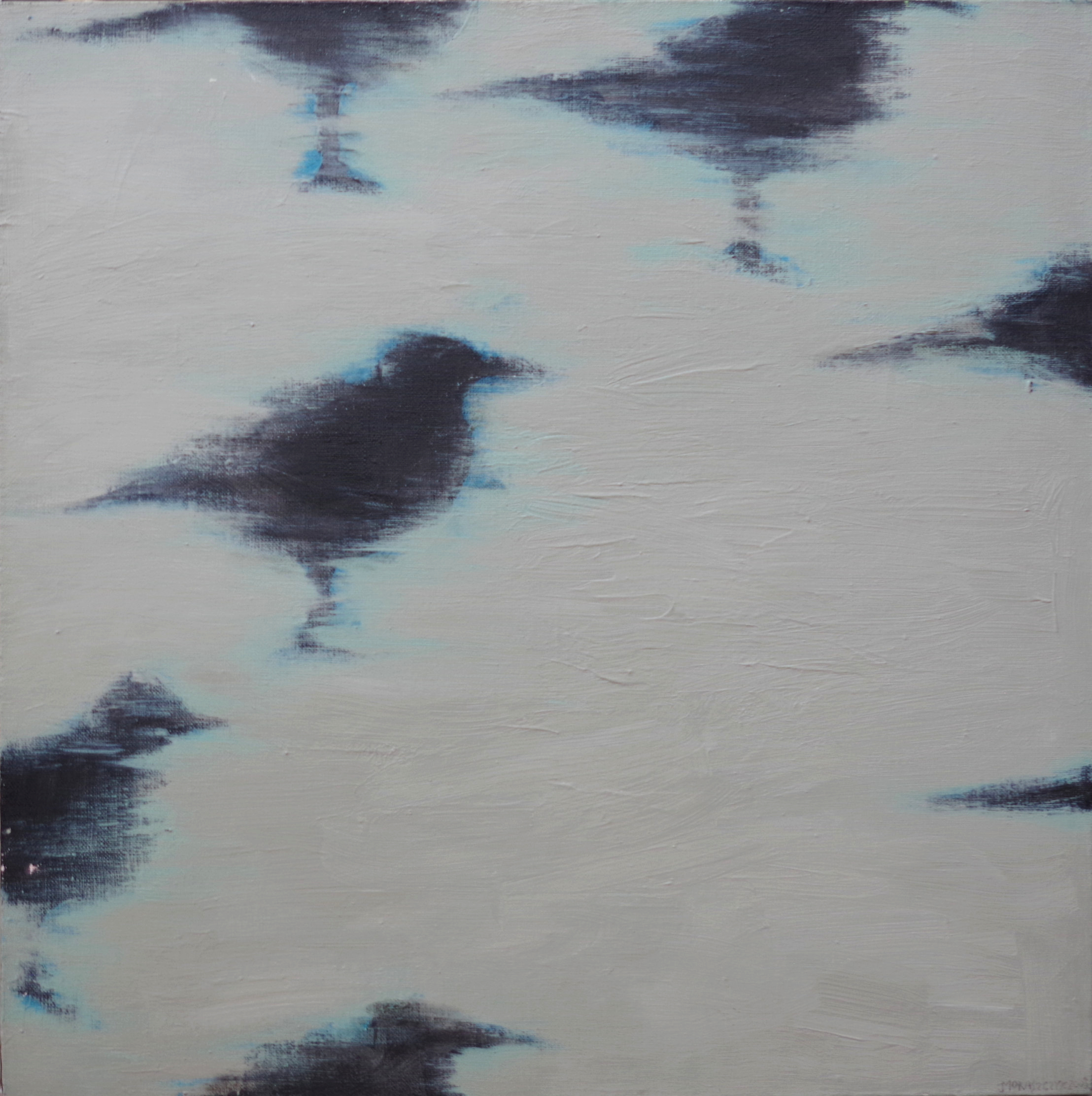 Ptaki stojące na jasnym i czarnym tle, zwierzęta,