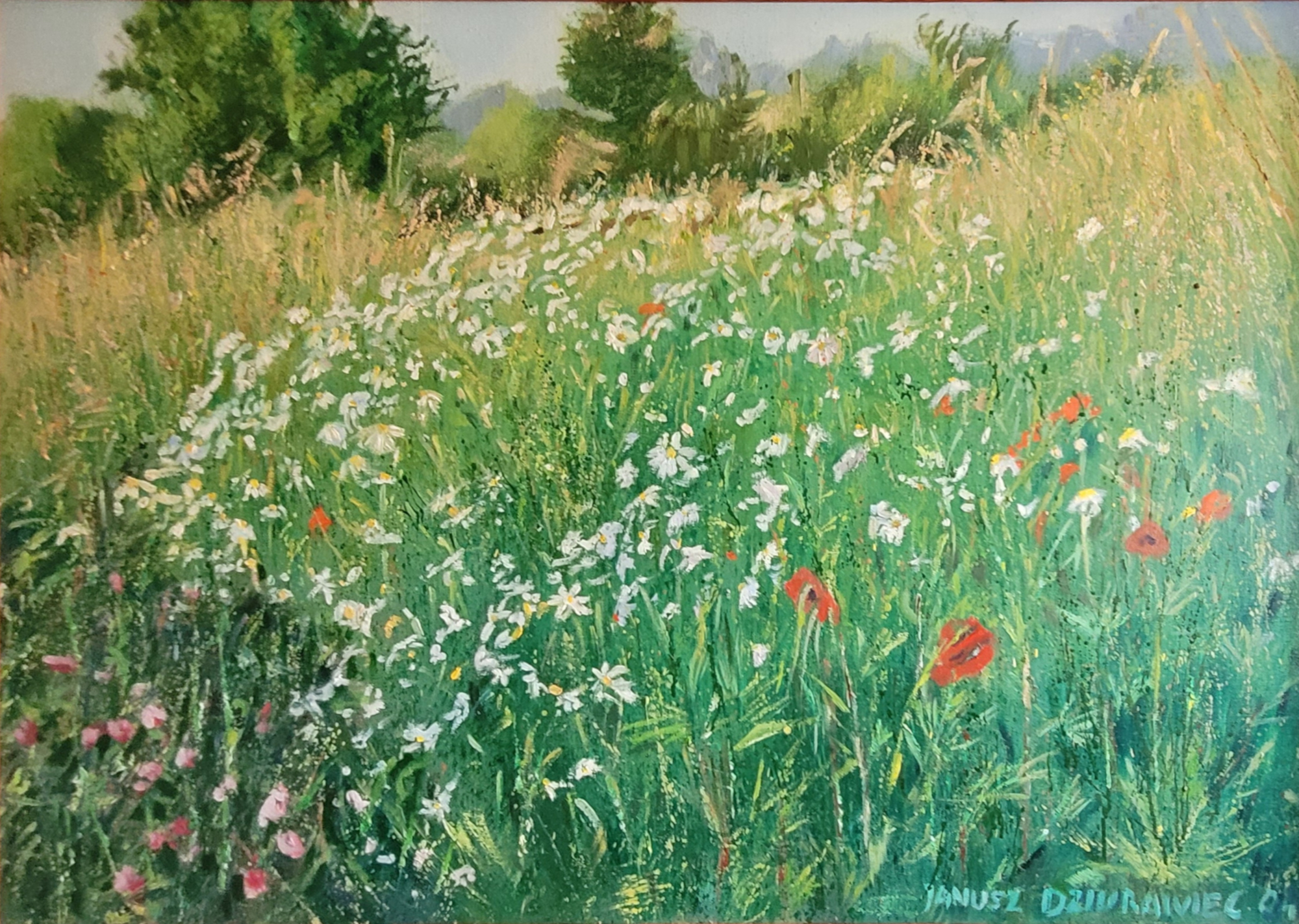 pejzaż, natura, łąka z kwiatami , krajobraz letni