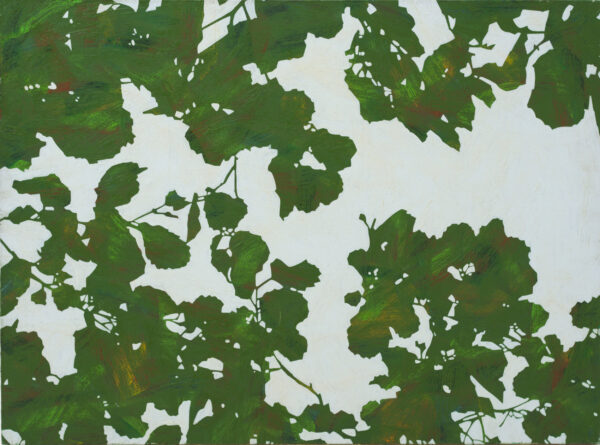 Obraz przedstawiający zielone liście na tle pogodnego wrześniowego nieba. Autor obrazu olejnego Robert Motelski,